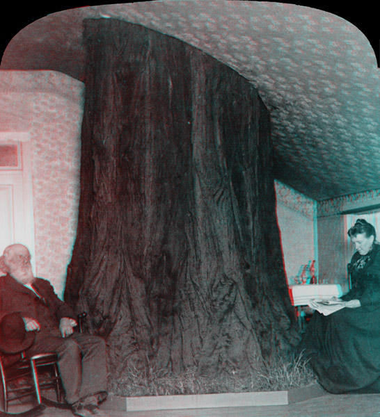 Hutchings House in 3-D